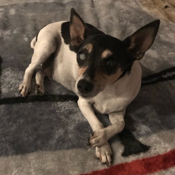 Meet your Posher, Cinthia - Picture 1 of 1